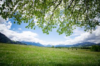Dienstleistung Grundstück
